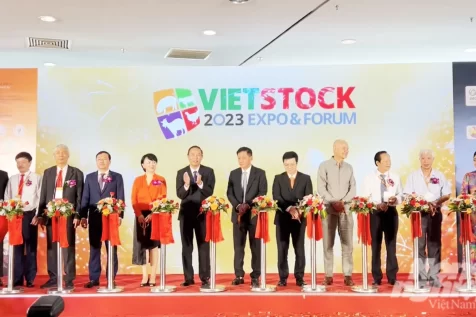 Khai mạc Vietstock 2023: Cơ hội vàng giao lưu, hợp tác