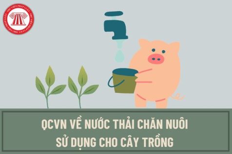 QUY CHUẨN KỸ THUẬT QUỐC GIA VỀ NƯỚC THẢI CHĂN NUÔI SỬ DỤNG CHO CÂY TRỒNG