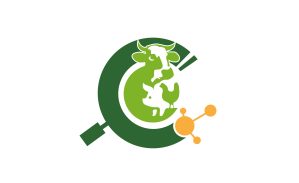 THỦ TỤC KHIẾU NẠI VÀ YÊU CẦU XEM XÉT LẠI